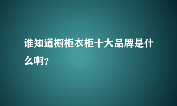 谁知道橱柜衣柜十大品牌是什么啊？