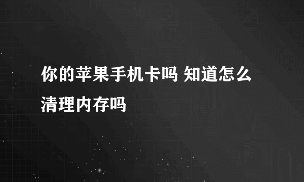 你的苹果手机卡吗 知道怎么清理内存吗