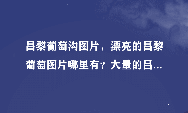 昌黎葡萄沟图片，漂亮的昌黎葡萄图片哪里有？大量的昌黎葡萄沟景美图片哪里有啊？