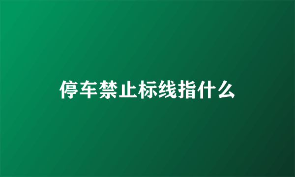 停车禁止标线指什么