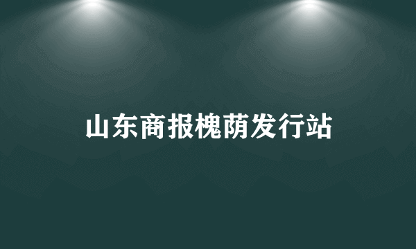 山东商报槐荫发行站