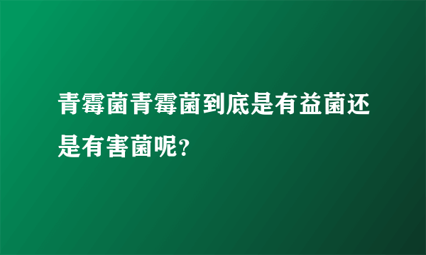 青霉菌青霉菌到底是有益菌还是有害菌呢？
