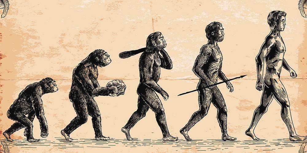 人类进化主要经过哪几个阶段