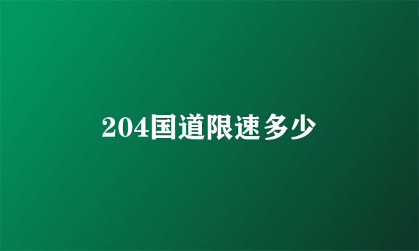 204国道限速多少