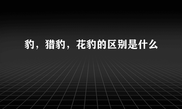 豹，猎豹，花豹的区别是什么