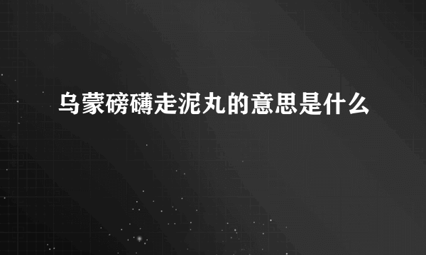 乌蒙磅礴走泥丸的意思是什么