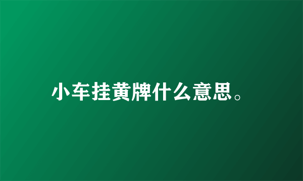 小车挂黄牌什么意思。