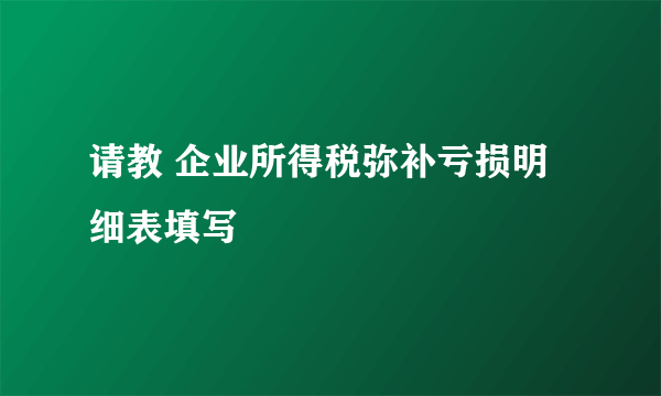 请教 企业所得税弥补亏损明细表填写