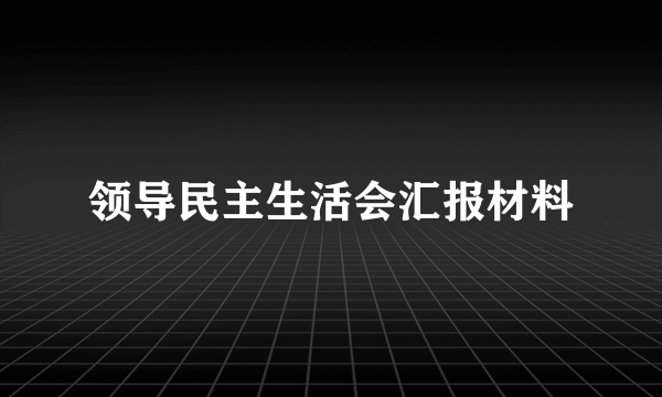 领导民主生活会汇报材料