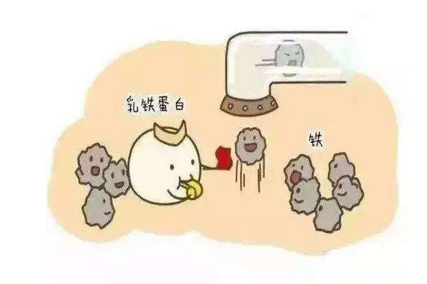 进口十大乳铁蛋白品牌哪个好