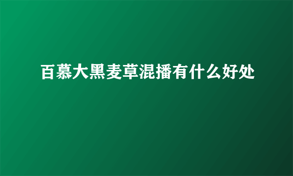 百慕大黑麦草混播有什么好处