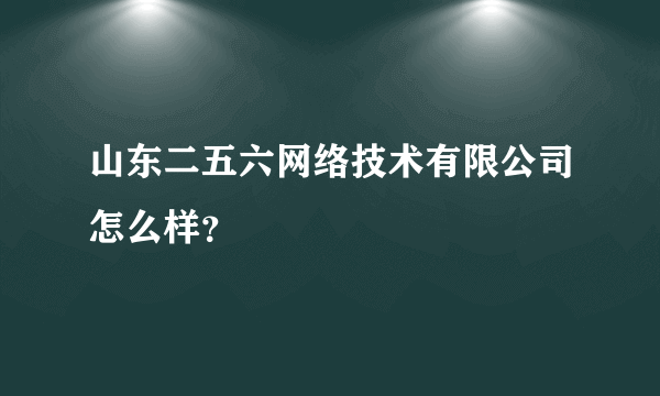 山东二五六网络技术有限公司怎么样？