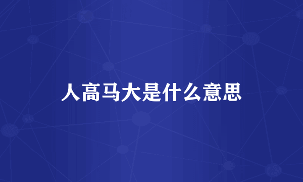 人高马大是什么意思