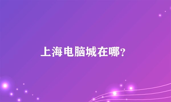 上海电脑城在哪？