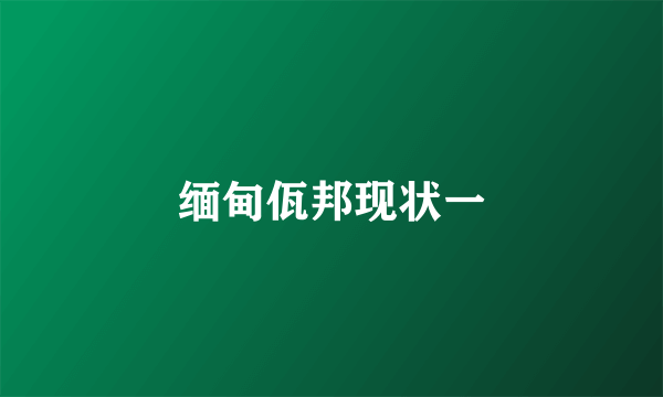 缅甸佤邦现状一