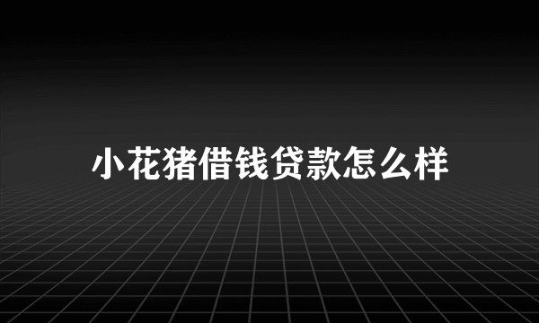 小花猪借钱贷款怎么样