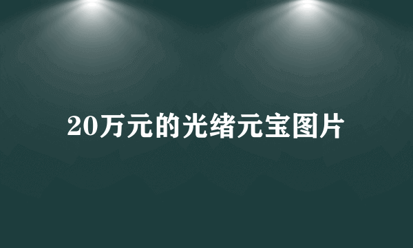 20万元的光绪元宝图片