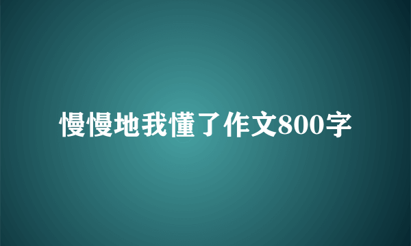 慢慢地我懂了作文800字