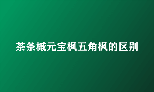 茶条槭元宝枫五角枫的区别