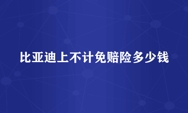 比亚迪上不计免赔险多少钱