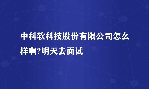 中科软科技股份有限公司怎么样啊?明天去面试