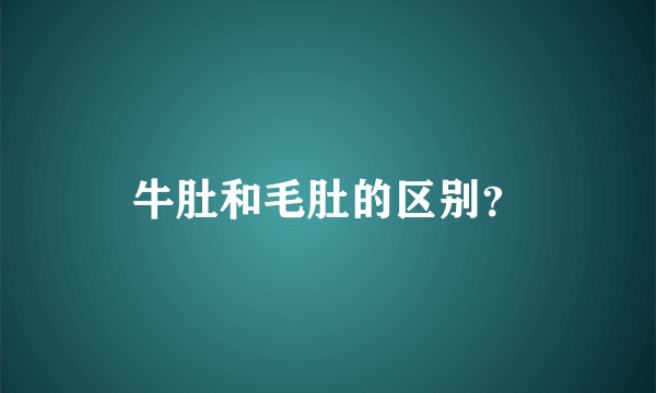 牛肚和毛肚的区别？