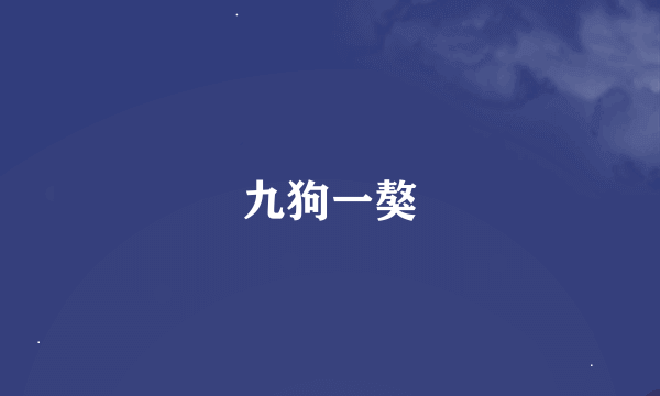 九狗一獒