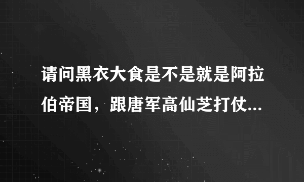 请问黑衣大食是不是就是阿拉伯帝国，跟唐军高仙芝打仗，后又在南宋被蒙古西征灭掉的也是它吗？