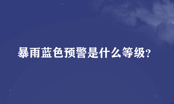 暴雨蓝色预警是什么等级？