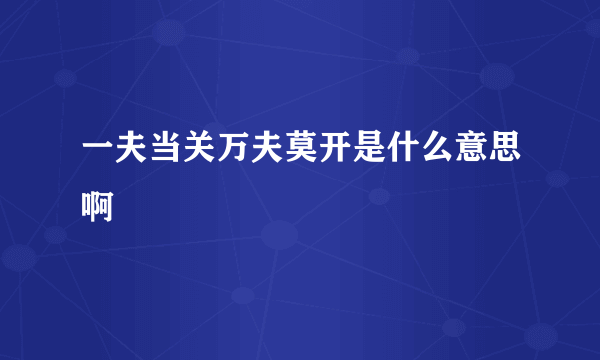 一夫当关万夫莫开是什么意思啊