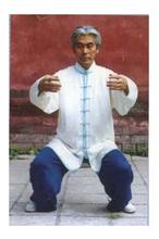 马步站桩功图