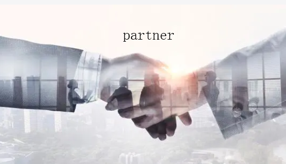 partner是什么意思中文