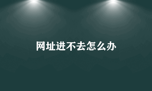 网址进不去怎么办