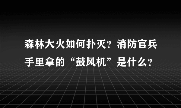 森林大火如何扑灭？消防官兵手里拿的“鼓风机”是什么？
