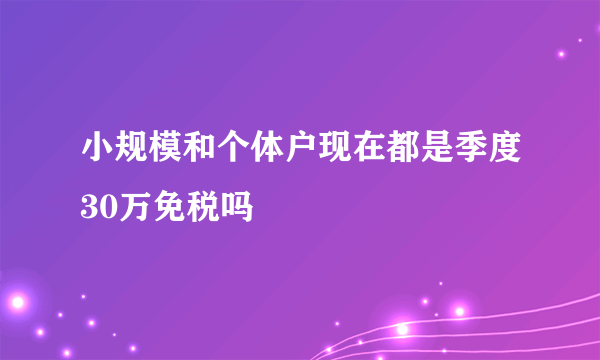小规模和个体户现在都是季度30万免税吗