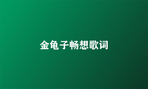 金龟子畅想歌词