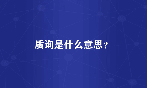 质询是什么意思？