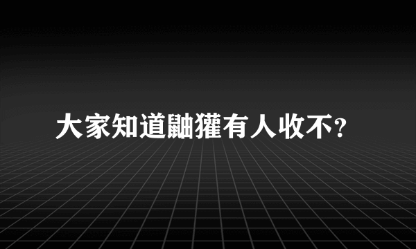 大家知道鼬獾有人收不？
