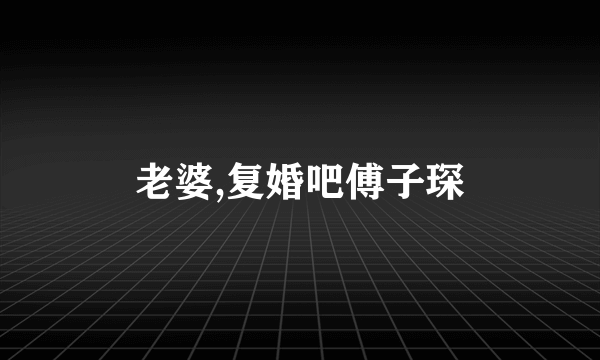 老婆,复婚吧傅子琛