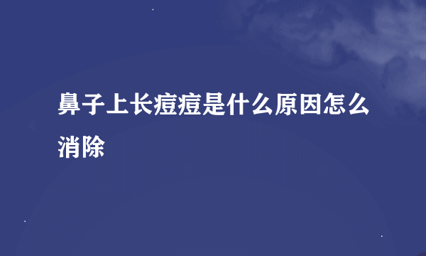 鼻子上长痘痘是什么原因怎么消除