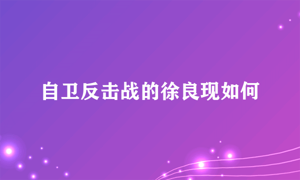 自卫反击战的徐良现如何