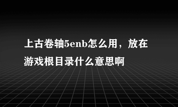 上古卷轴5enb怎么用，放在游戏根目录什么意思啊