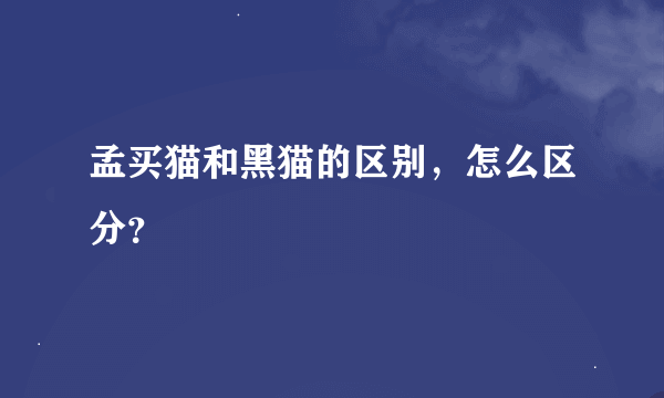 孟买猫和黑猫的区别，怎么区分？