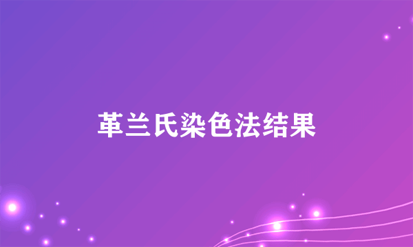 革兰氏染色法结果