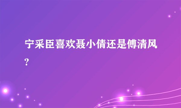 宁采臣喜欢聂小倩还是傅清风?