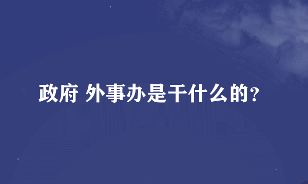 政府 外事办是干什么的？