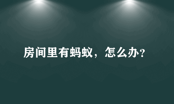 房间里有蚂蚁，怎么办？
