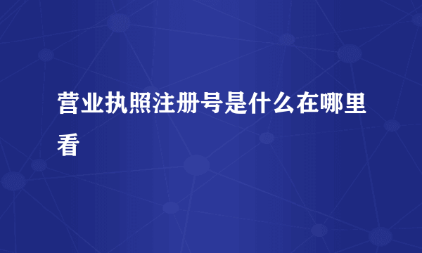营业执照注册号是什么在哪里看