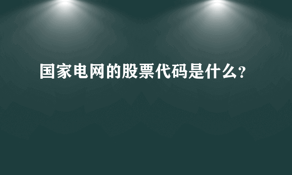 国家电网的股票代码是什么？