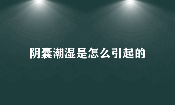 阴囊潮湿是怎么引起的